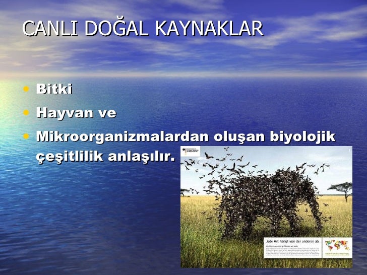 2012’nin seyahat trendleri Turon9 2012’nin seyahat trendleri Turon9